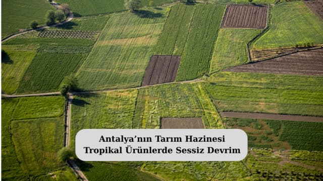  Antalya’nın Tarım Hazinesi: Tropikal Ürünlerde Sessiz Devrim