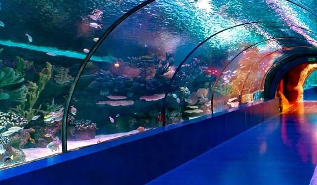 Antalya'da Aileyle Yapılacak Aktivite Önerileri 